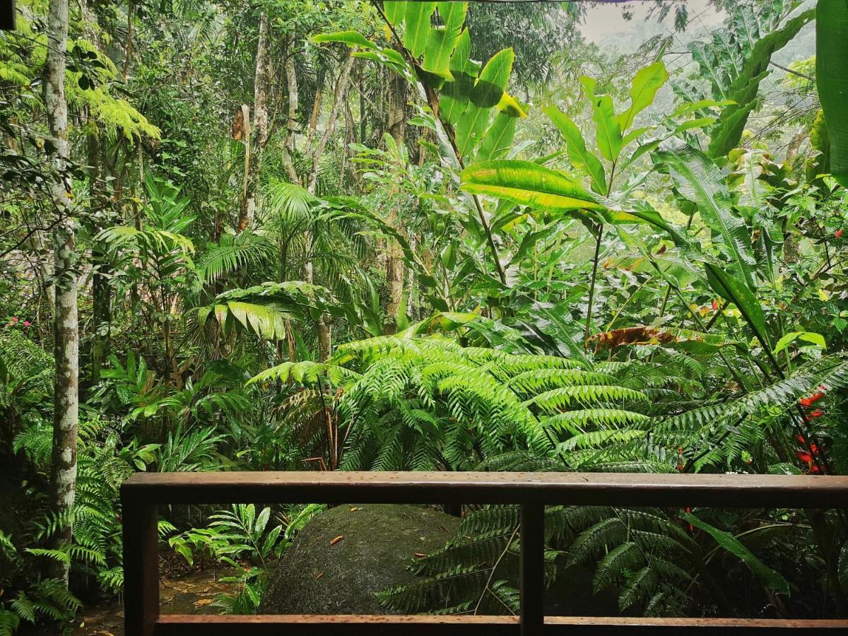 Trindade Sea And Forest Yoga Hostel Exterior foto